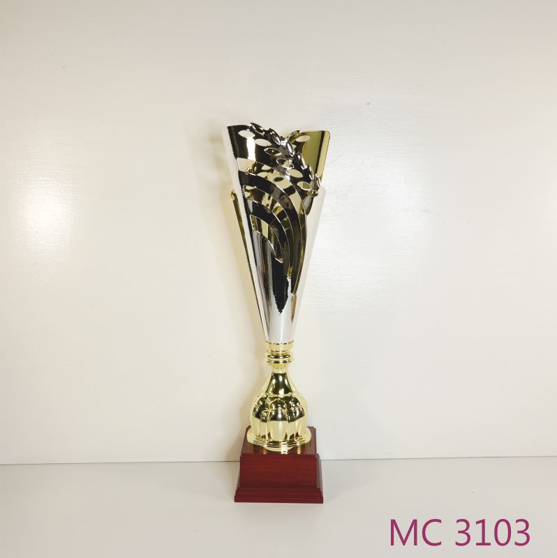 MC 3103.jpg
